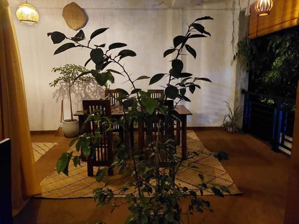 Kingcity Resort Anuradhapura Luaran gambar